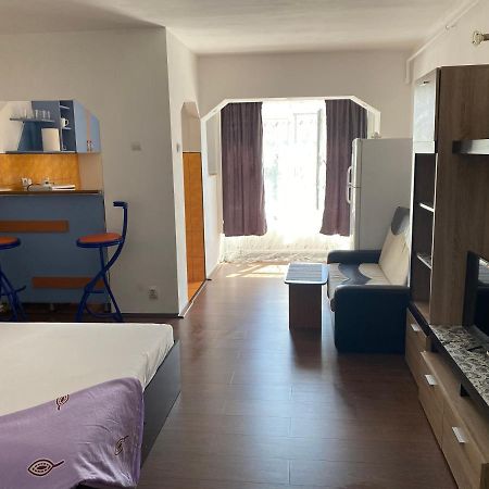 Garsoniera One Bedroom Apartment Hunedoara Dış mekan fotoğraf