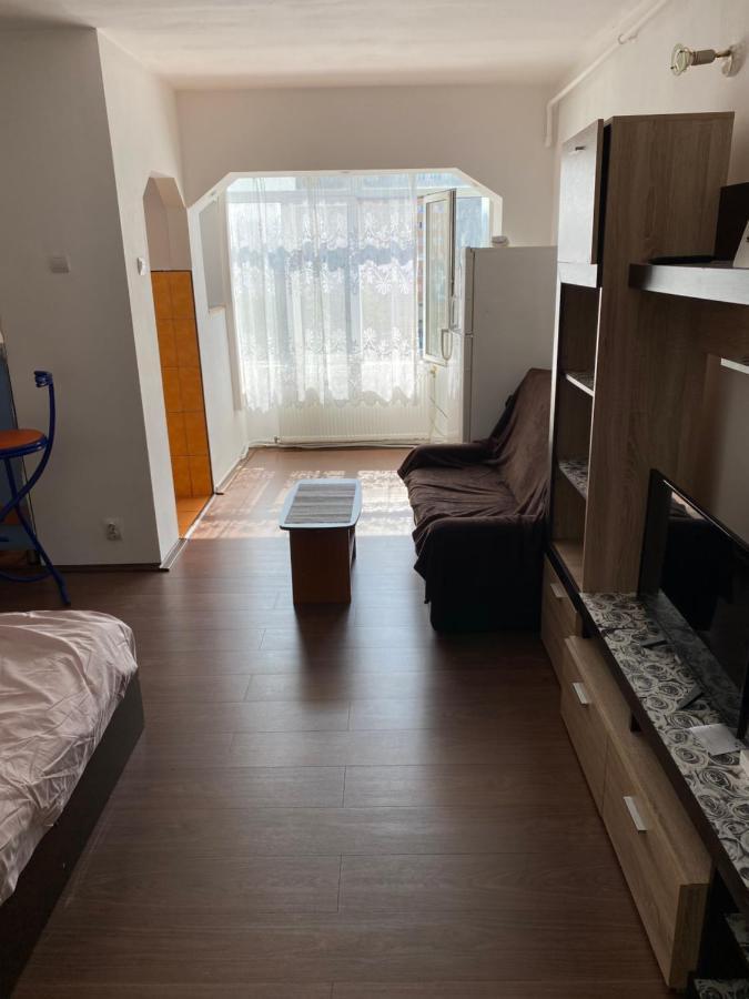 Garsoniera One Bedroom Apartment Hunedoara Dış mekan fotoğraf